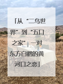从“二鸟世界”到“五口之家” 一对东方白鹳的黄河口之恋