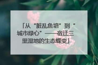 从“脏乱鱼塘”到“城市绿心”——宿迁三里湿地的生态蝶变