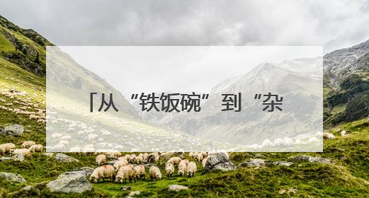 从“铁饭碗”到“杂粮王国” 赵玉娥的三十年扶贫创业路