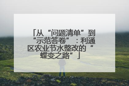 从“问题清单”到“示范答卷”：利通区农业节水整改的“蝶变之路”
