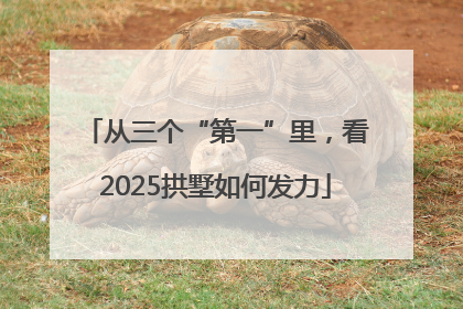从三个“第一”里，看2025拱墅如何发力