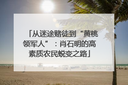 从迷途赌徒到“黄桃领军人”：肖石明的高素质农民蜕变之路