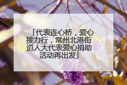 代表连心桥，爱心接力行，常州北港街道人大代表爱心捐助活动再出发