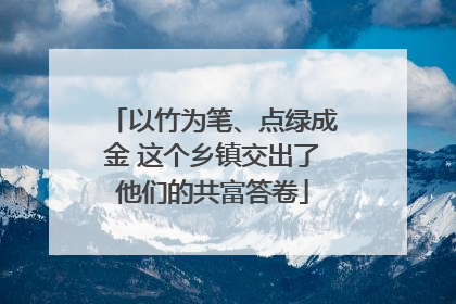 以竹为笔、点绿成金 这个乡镇交出了他们的共富答卷