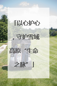 以心护心，守护雪域高原“生命之脉”