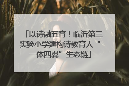 以诗融五育！临沂第三实验小学建构诗教育人“一体四翼”生态链