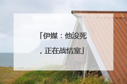 伊媒：他没死，正在战情室