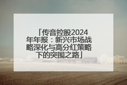 传音控股2024年年报：新兴市场战略深化与高分红策略下的突围之路