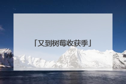 又到树莓收获季