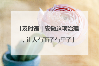 及时语｜安徽这项治理，让人有面子有里子