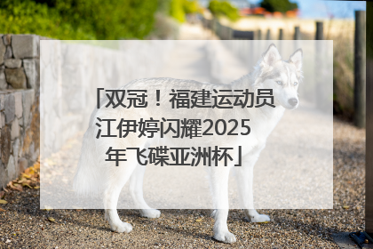双冠！福建运动员江伊婷闪耀2025年飞碟亚洲杯