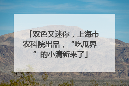 双色又迷你，上海市农科院出品，“吃瓜界”的小清新来了