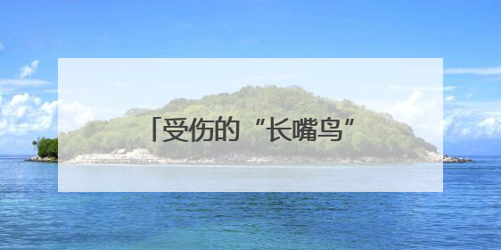 受伤的“长嘴鸟”造访徐州沛县！暖心救助守护自然精灵