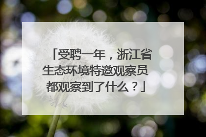 受聘一年，浙江省生态环境特邀观察员都观察到了什么？