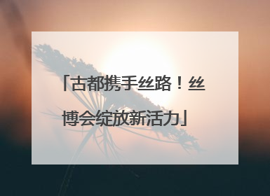 古都携手丝路！丝博会绽放新活力