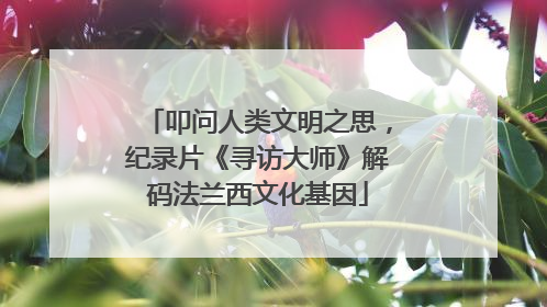 叩问人类文明之思，纪录片《寻访大师》解码法兰西文化基因