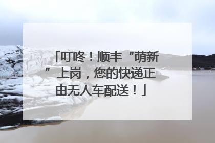 叮咚！顺丰“萌新”上岗，您的快递正由无人车配送！