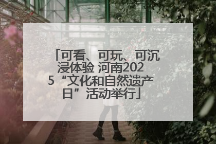 可看、可玩、可沉浸体验 河南2025“文化和自然遗产日”活动举行