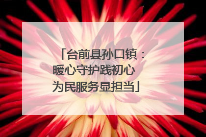 台前县孙口镇：暖心守护践初心 为民服务显担当