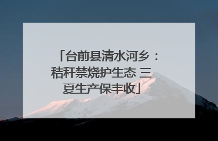 台前县清水河乡：秸秆禁烧护生态 三夏生产保丰收