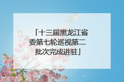十三届黑龙江省委第七轮巡视第二批次完成进驻