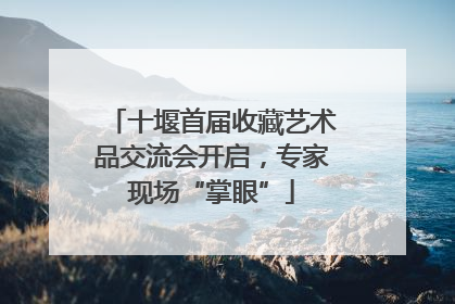 十堰首届收藏艺术品交流会开启，专家现场“掌眼”