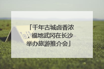 千年古城卤香浓，福地武冈在长沙举办旅游推介会