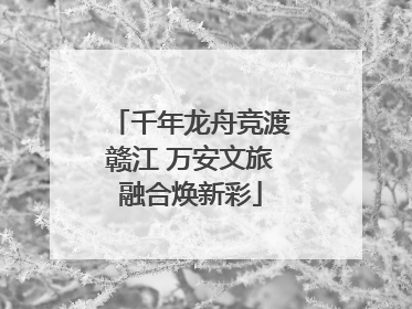 千年龙舟竞渡赣江 万安文旅融合焕新彩
