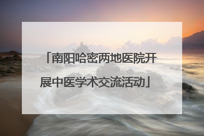 南阳哈密两地医院开展中医学术交流活动