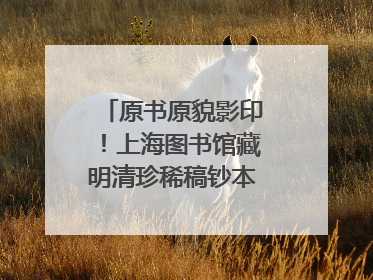 原书原貌影印！上海图书馆藏明清珍稀稿钞本整理出版