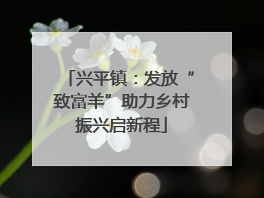 兴平镇：发放“致富羊”助力乡村振兴启新程