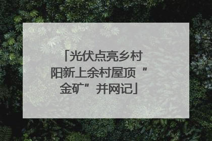 光伏点亮乡村 阳新上余村屋顶“金矿”并网记