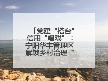 党建“搭台”信用“唱戏”：宁阳华丰管理区解锁乡村治理“信用密码”
