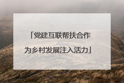 党建互联帮扶合作 为乡村发展注入活力