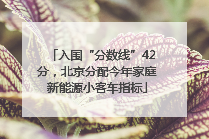 入围“分数线”42分，北京分配今年家庭新能源小客车指标