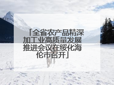 全省农产品精深加工业高质量发展推进会议在绥化海伦市召开
