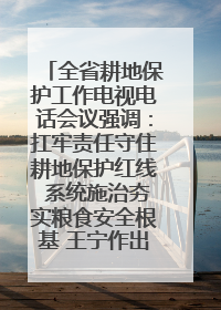 全省耕地保护工作电视电话会议强调：扛牢责任守住耕地保护红线 系统施治夯实粮食安全根基 王宁作出批示 王予波出席并讲话
