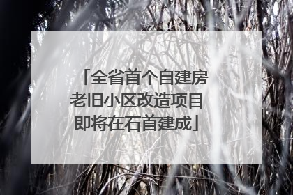 全省首个自建房老旧小区改造项目即将在石首建成