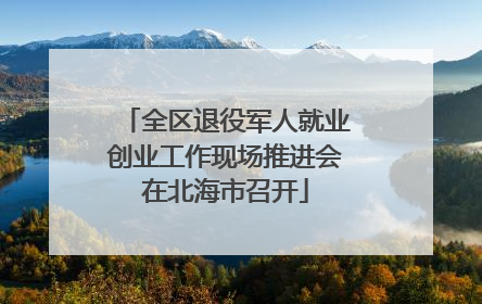 全区退役军人就业创业工作现场推进会在北海市召开