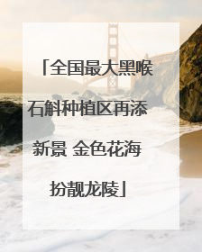全国最大黑喉石斛种植区再添新景 金色花海扮靓龙陵