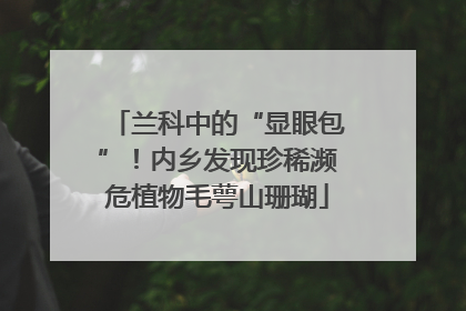 兰科中的“显眼包”！内乡发现珍稀濒危植物毛萼山珊瑚