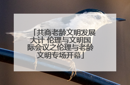 共商老龄文明发展大计 伦理与文明国际会议之伦理与老龄文明专场开幕