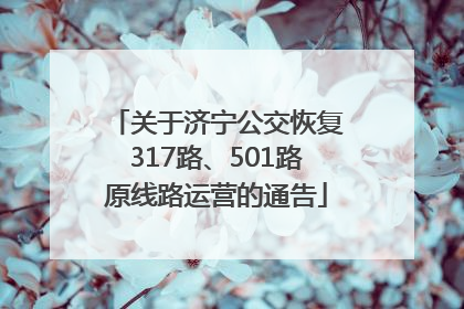 关于济宁公交恢复317路、501路原线路运营的通告