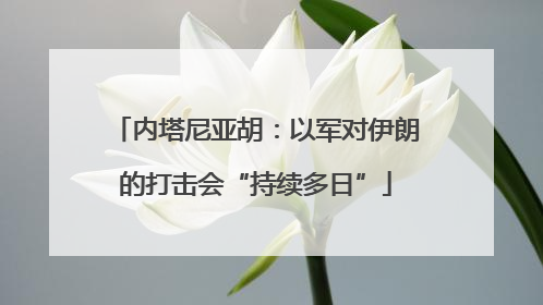 内塔尼亚胡：以军对伊朗的打击会“持续多日”