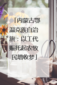 内蒙古鄂温克族自治旗：以工代赈托起农牧民增收梦