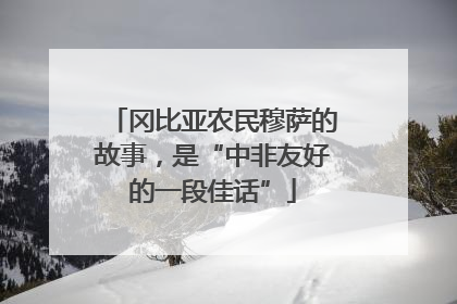 冈比亚农民穆萨的故事，是“中非友好的一段佳话”