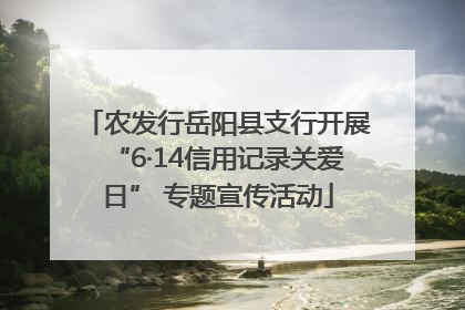 农发行岳阳县支行开展“6·14信用记录关爱日” 专题宣传活动