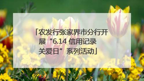 农发行张家界市分行开展“6.14 信用记录关爱日”系列活动