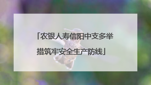 农银人寿信阳中支多举措筑牢安全生产防线