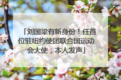 刘国梁有新身份！任首位驻纽约使团联合国运动会大使，本人发声